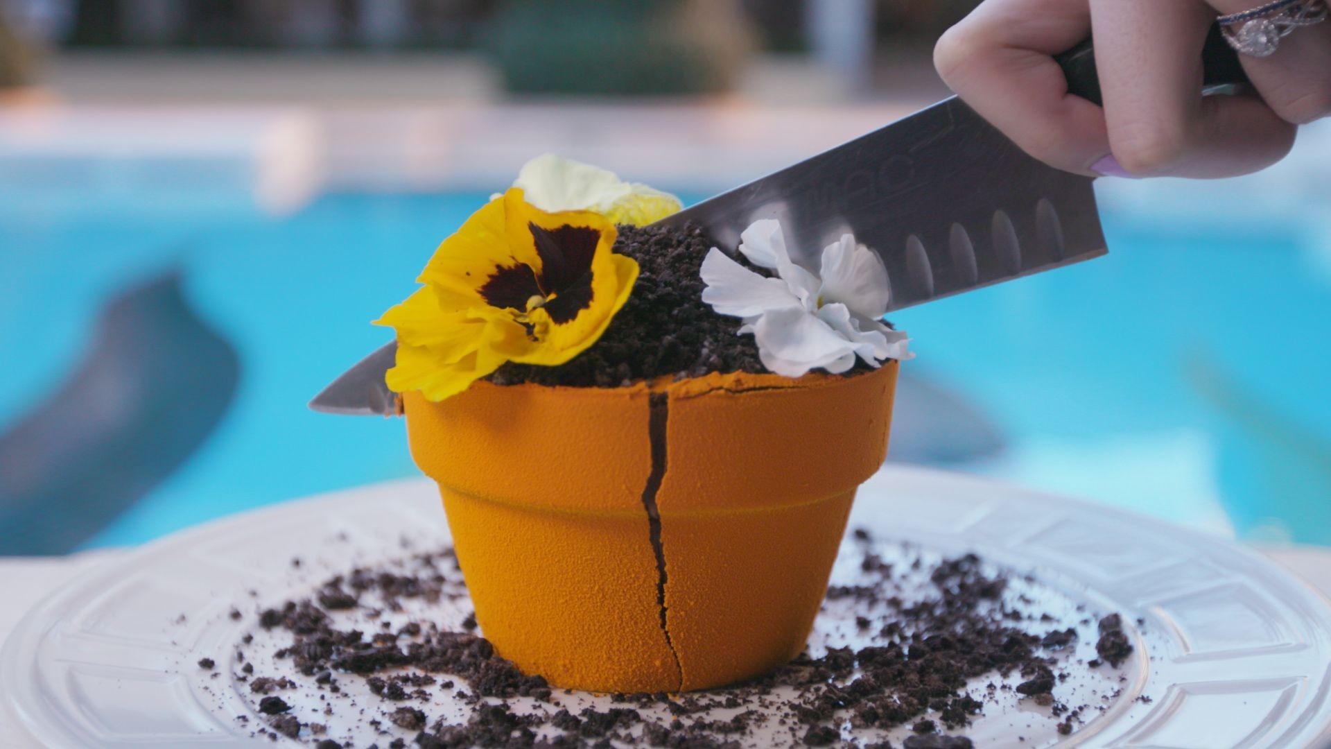 Flower Pot Cake, Jardin