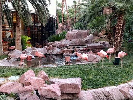 Flamingo Wildlife Habitat