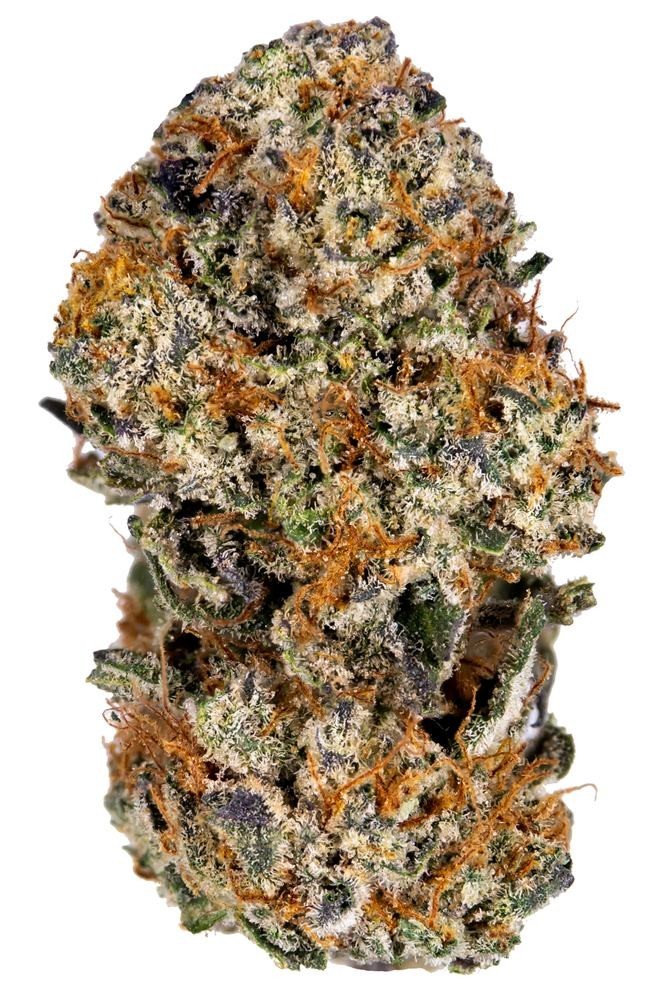 Tangie