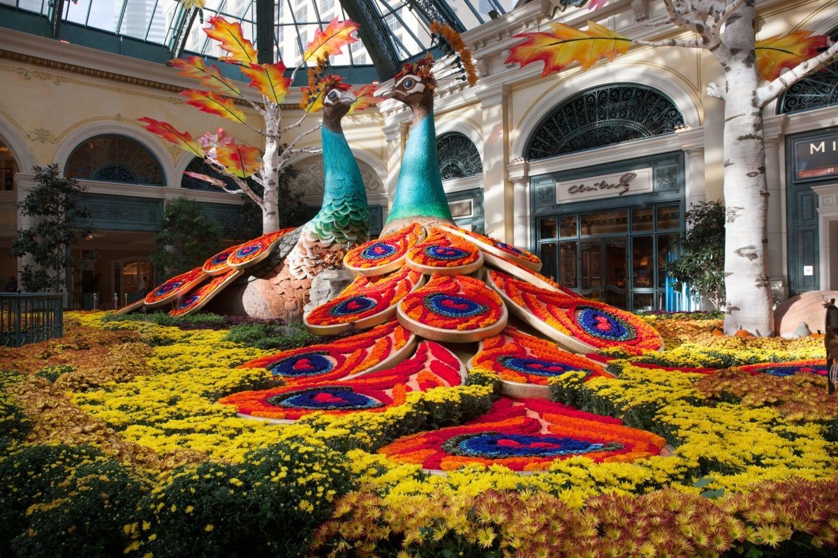 The Bellagio Hotel Conservatory