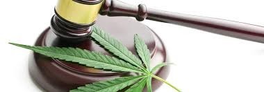 Are there any changes to the local cannabis laws?