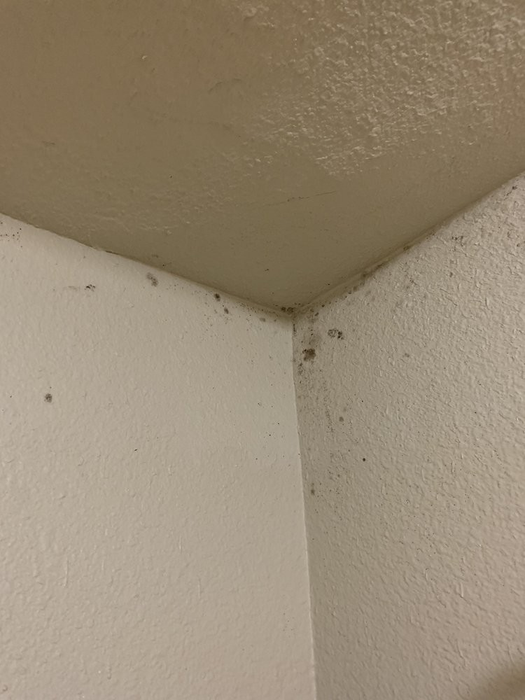 Don't look up. Just don't...