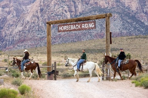 5 Most Fun Las Vegas Tours 2022